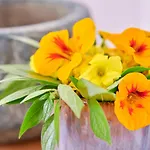 Sunny Renovated With Ac, By Timecooler Апартаменты Лиссабон