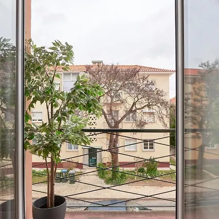 Sunny Renovated With Ac, By Timecooler Апартаменти *