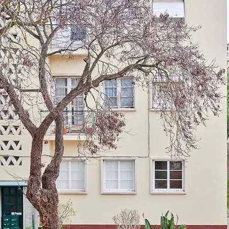 Appartement Sunny Renovated With Ac, By Timecooler *